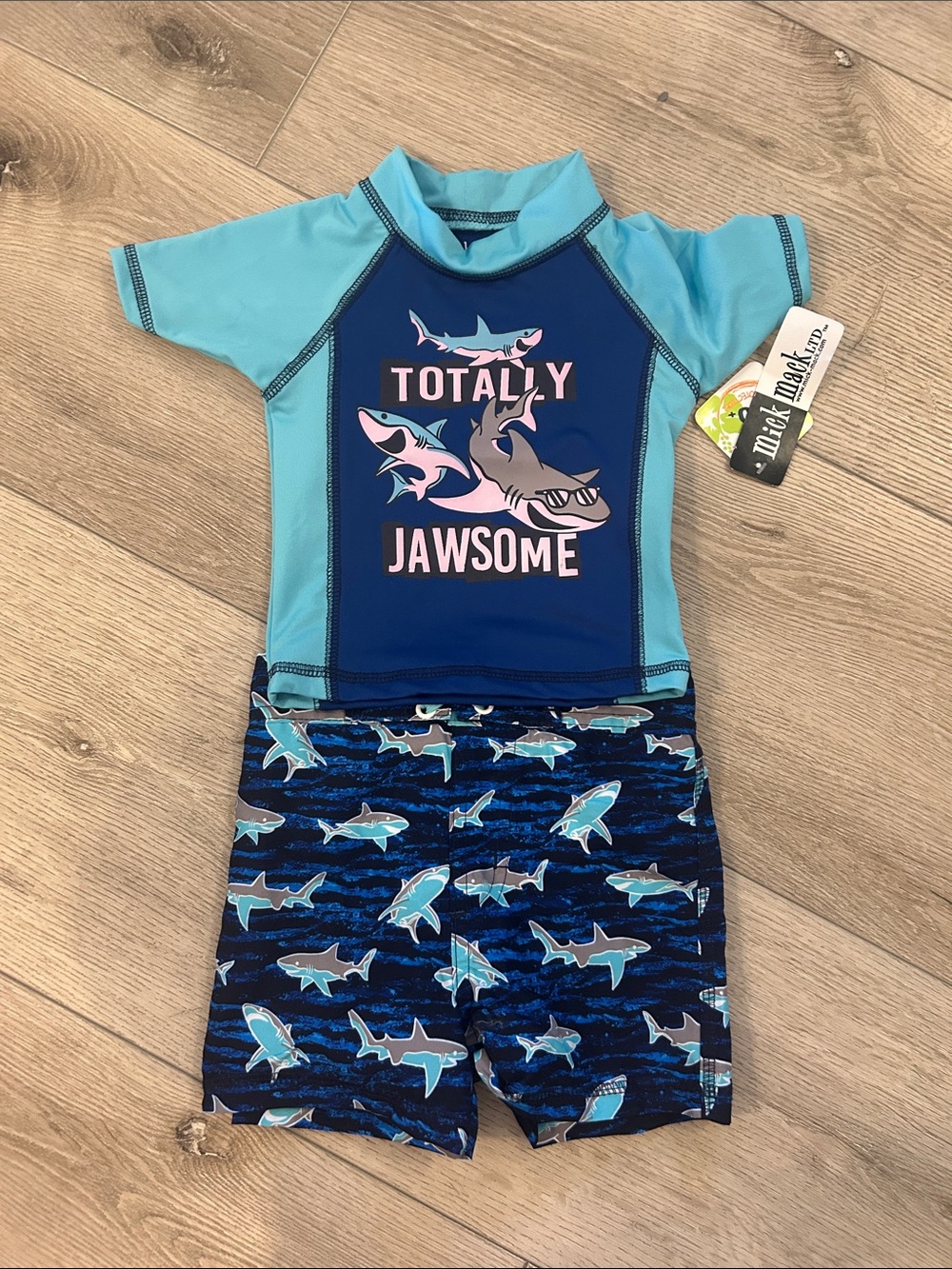 Toddler Swim Suit and Rash Guard